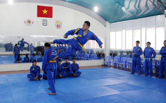 Võ đường Vovinam, tiềm năng và triển vọng
