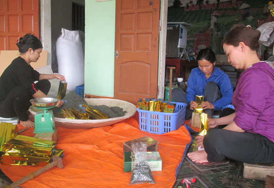 Thị trường chè Tết nguyên đán: Không có nhiều biến động về giá