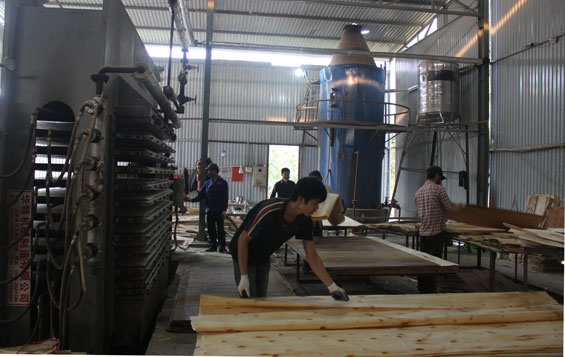 Quỹ bảo lãnh tín dụng cho doanh nghiệp nhỏ và vừa: Nhiều bất cập cần được tháo gỡ