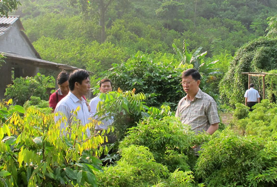 Nâng cao chất lượng cơ quan dân cử:Nhìn từ hoạt động thực tiễn