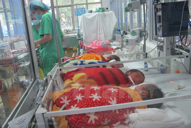 Những trẻ đầu tiên được sinh qua mang thai hộ sẽ ra đời trong tháng 1