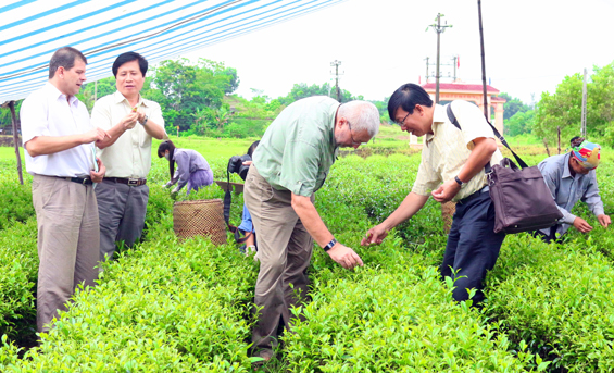 Phát huy vai trò của kinh tế tập thể trong thời kỳ đổi mới