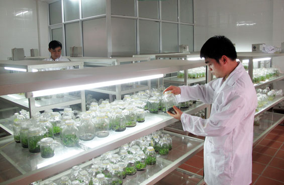 Đưa kết quả nghiên cứu khoa học công nghệ vào cuộc sống