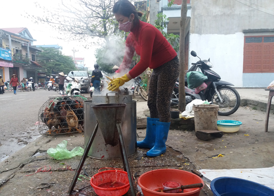 Ô nhiễm từ các điểm giết mổ gia cầm tự phát