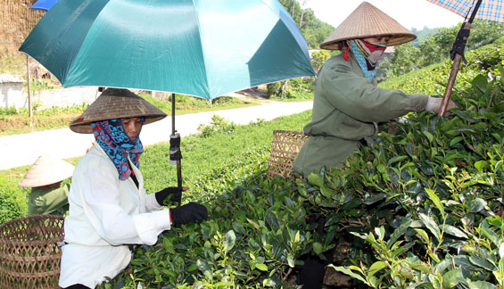  Xây dựng đội ngũ cán bộ cơ sở ở Đồng Hỷ: Những cách làm phù hợp, sáng tạo