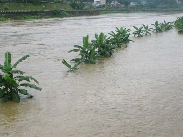 Những thông tin cuối cùng về đợt lũ trên hệ thống sông Hồng