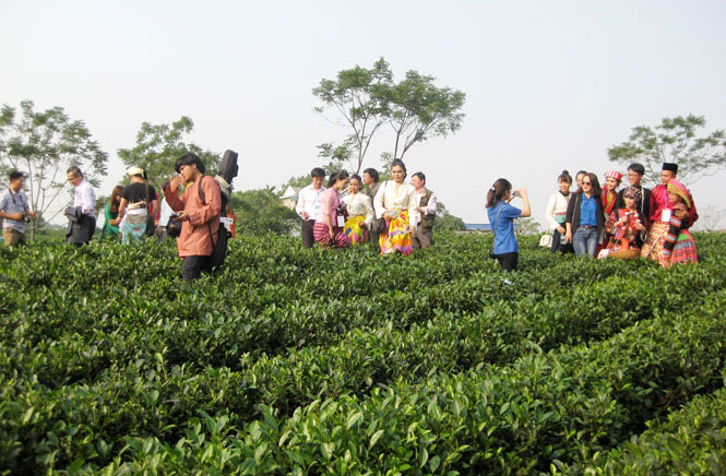 Mời gọi đầu tư cho ngành công nghiệp không khói 