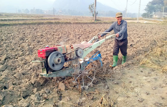Tích cực chuẩn bị sản xuất vụ đông