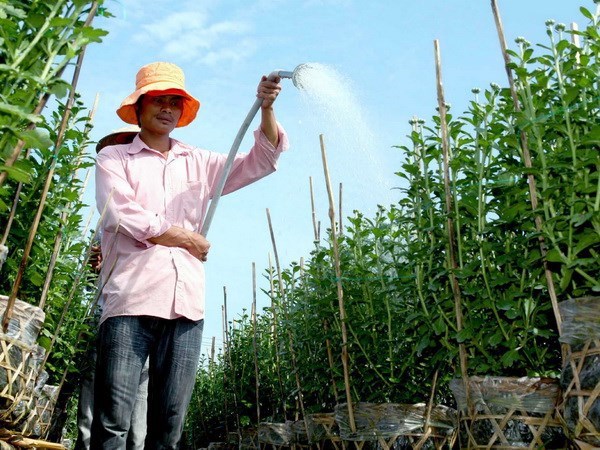 Mưa ở các tỉnh Trung Bộ giảm nhanh, khu vực Bắc Bộ nắng ráo