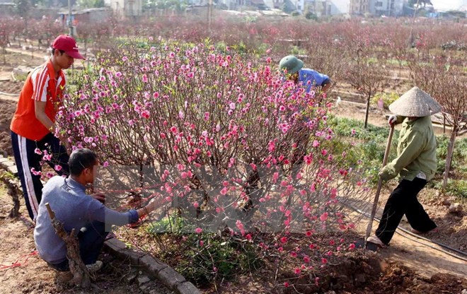 Thưởng Tết Bính thân: Cao nhất 624 triệu đồng, thấp nhất 40.000 đồng