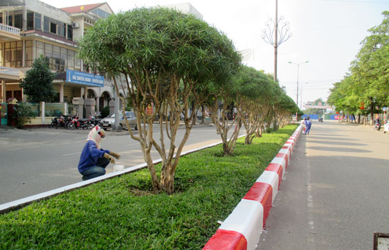 Trên 4,5 tỷ đồng chỉnh trang đô thị dịp Tết Nguyên đán