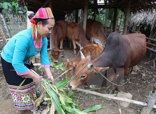 Thủ tướng yêu cầu không để thất thoát, lãng phí nguồn vốn giảm nghèo