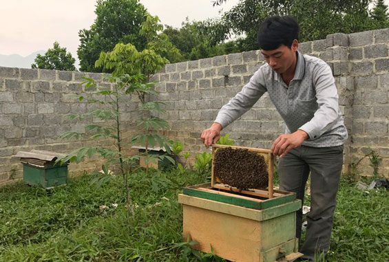 Lục Ba tìm hướng thoát nghèo