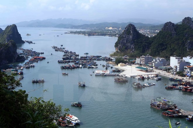 Cho ý kiến về đề án xây khu kinh tế Vân Đồn, Bắc Vân Phong, Phú Quốc
