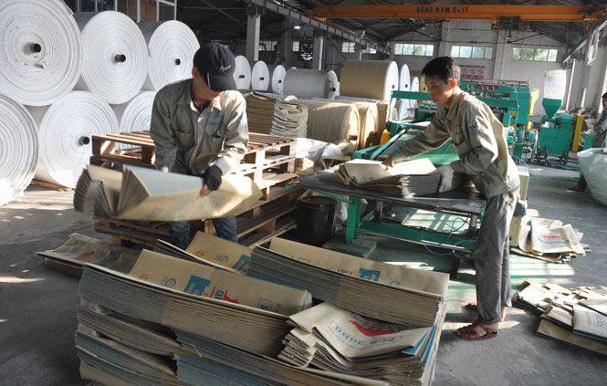 Nhiều doanh nghiệp còn chủ quan, lơ là 