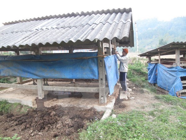 Miền Bắc chìm trong giá rét, Hà Nội có thể xuống dưới 10 độ C