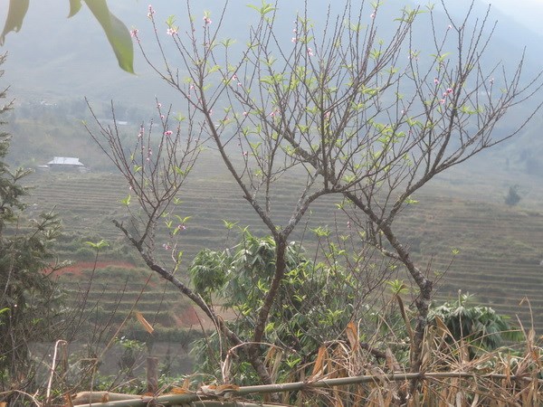 Không khí lạnh gây mưa, Bắc Bộ có nơi xuống dưới 14 độ C
