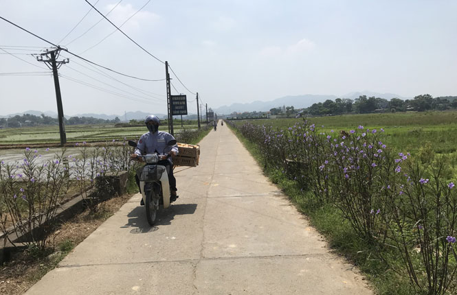 Phát huy hiệu quả nguồn hỗ trợ xi măng 