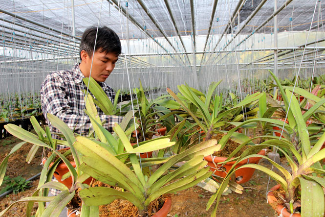 Nỗ lực hoàn thành các tiêu chí 