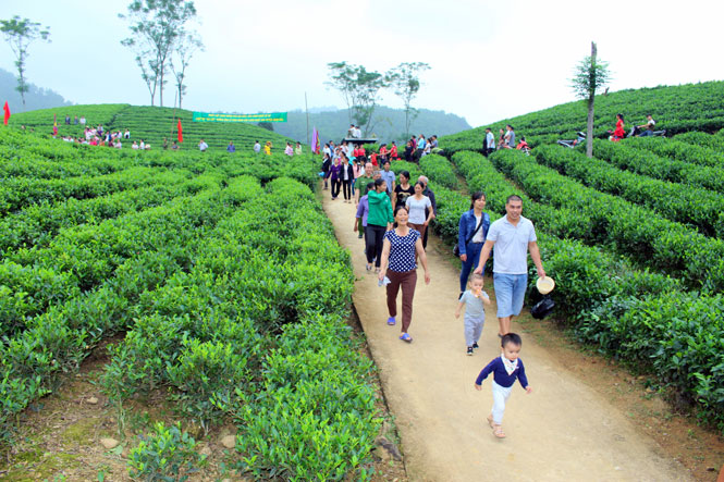 Sôi nổi các hoạt động tại Lễ vinh danh các làng nghề chè huyện Định Hóa