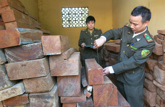 Số vụ vi phạm lâm luật giảm 26,6% so với cùng kỳ 