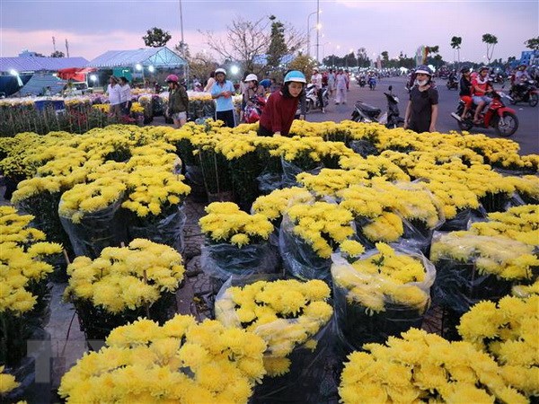 Đà Lạt có khoảng 1.500 ha hoa phục vụ thị trường Tết Kỷ Hợi 2019