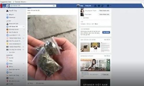 Yêu cầu làm rõ thông tin phản ánh mua bán cần sa công khai trên mạng