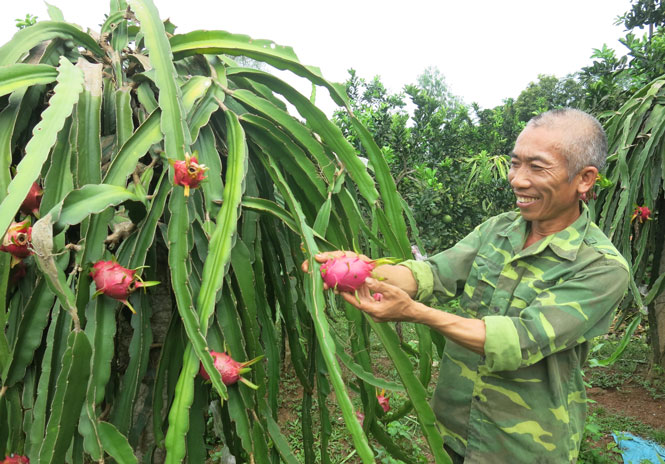 Đổi thay ở những xã mới sáp nhập về thành phố Thái Nguyên 