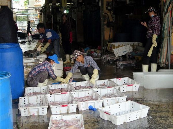 Khởi tố bị can, bắt Hưng 'kính' trong vụ bảo kê chợ Long Biên