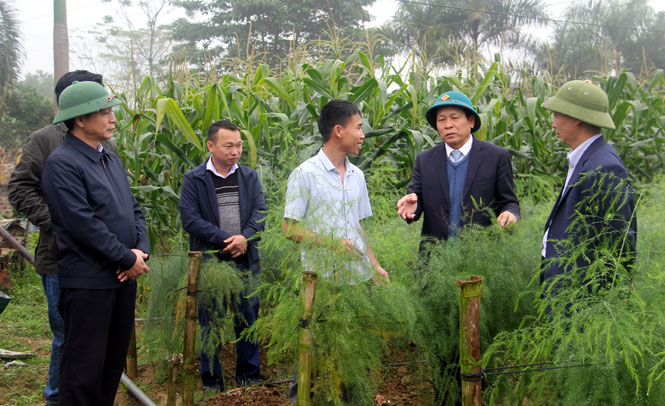 Kiểm tra việc thực hiện xây dựng nông thôn mới kiểu mẫu ở xã Vinh Sơn 