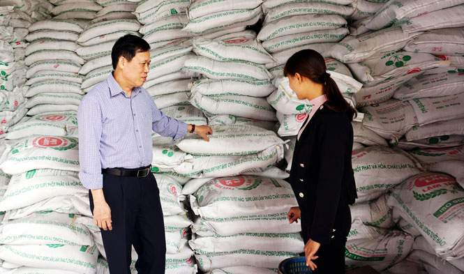 Góp phần bình ổn thị trường vật tư nông nghiệp 