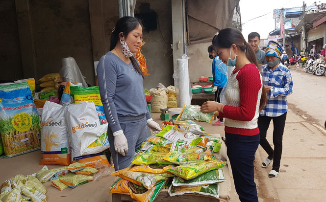 Chuẩn bị gieo cấy lúa Xuân 