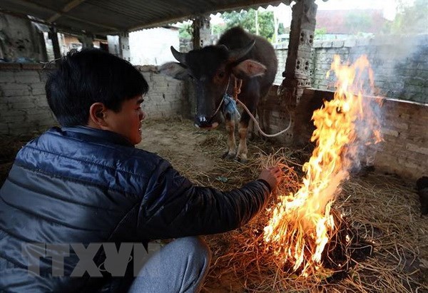 Bắc Bộ rét đậm, rét hại, đề phòng sạt lở đất ở miền núi phía Bắc