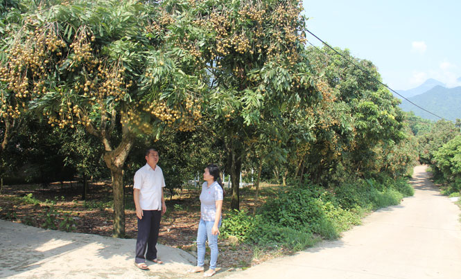 Những vùng đất đa sắc thái văn hóa 