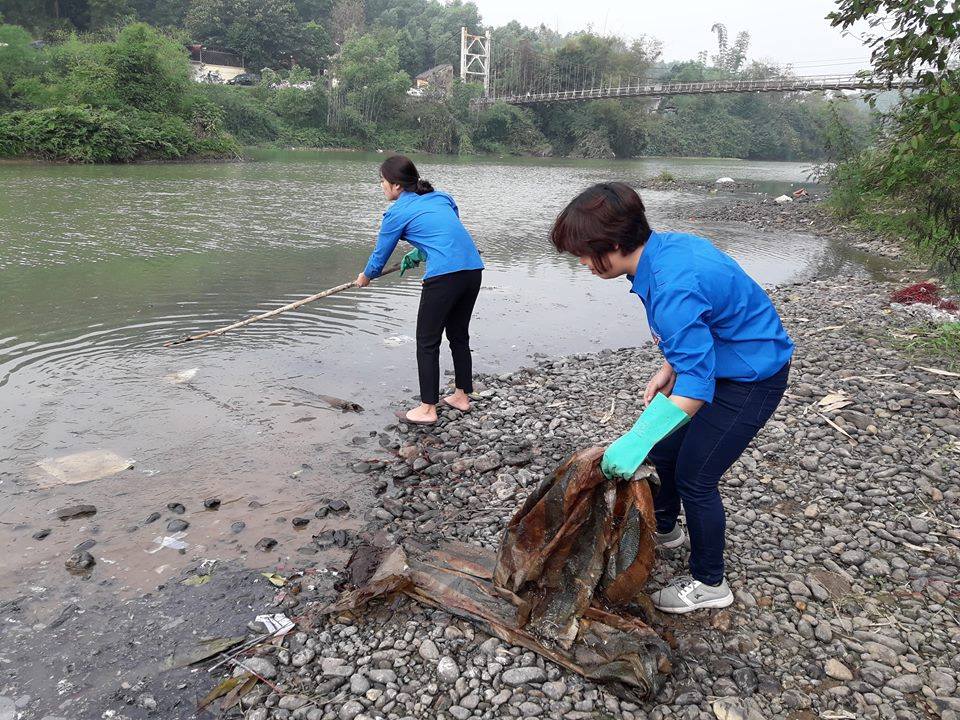 Thả cá không thả túi nilon 