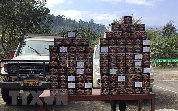 Nghệ An: Bắt vụ vận chuyển 120kg pháo nổ từ biên giới vào nội địa