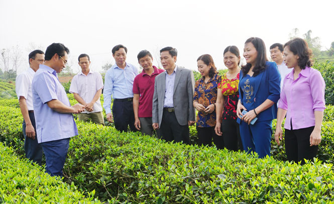 Ngành Nông nghiệp cần tạo sự bứt phá 