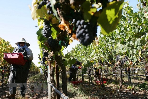 Mỹ tăng sức ép để EU đưa nông nghiệp lên bàn đàm phán thương mại