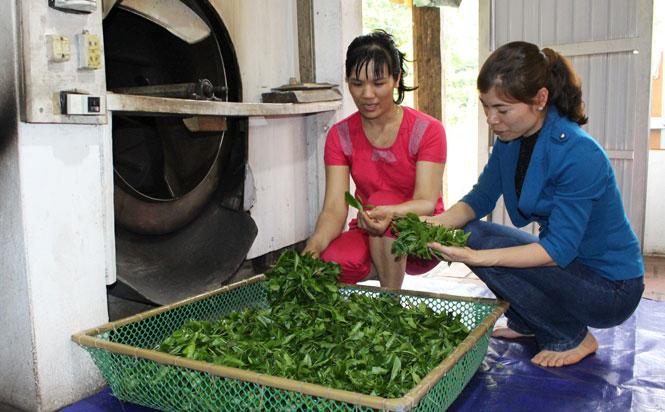 Góp phần tiết kiệm nhiên liệu, bảo vệ môi trường 