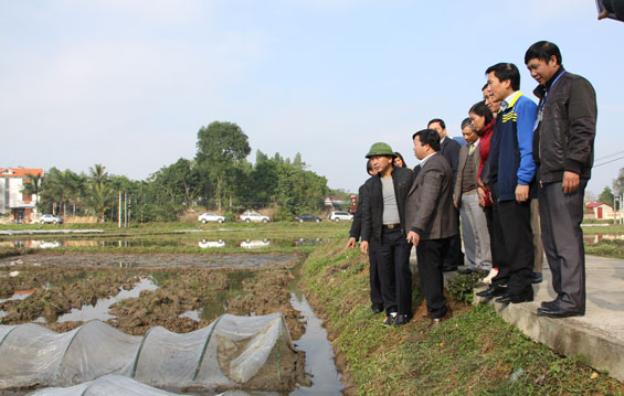 Lãnh đạo tỉnh kiểm tra tình hình sản xuất tại T.X Phổ Yên