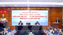 Nâng mức hỗ trợ cho nông dân phải tiêu hủy lợn do dịch tả châu Phi