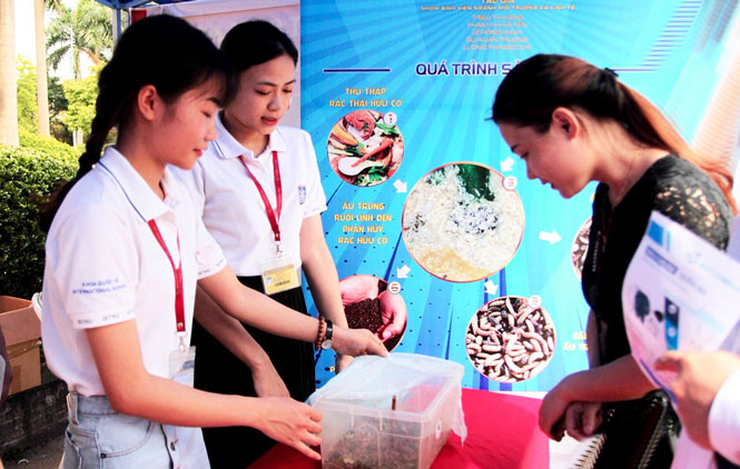 Biến rác thải hữu cơ thành thức ăn chăn nuôi và phân bón 