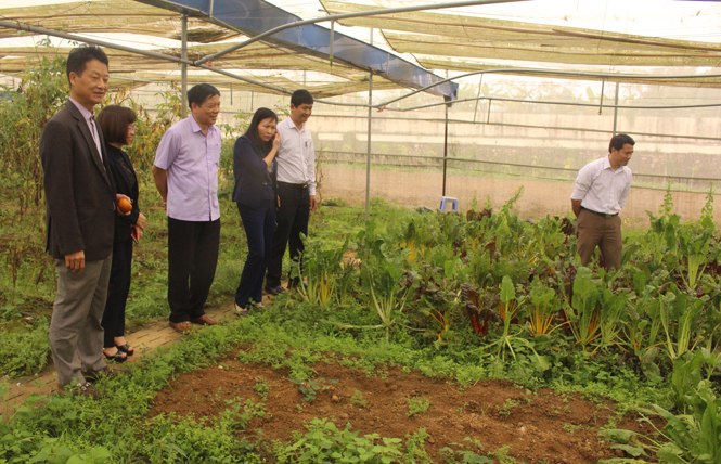 Thăm, động viên các doanh nghiệp sản xuất, kinh doanh 