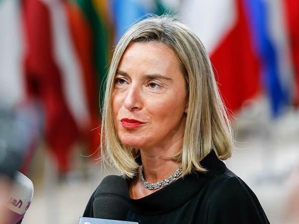 EU tái khẳng định lập trường liên quan cao nguyên Golan