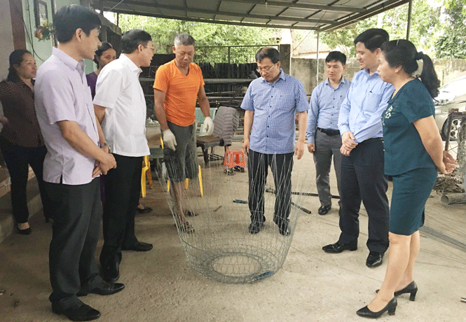 Khảo sát việc thực hiện đề án, nghị quyết về xây dựng tổ chức Hội nông dân 