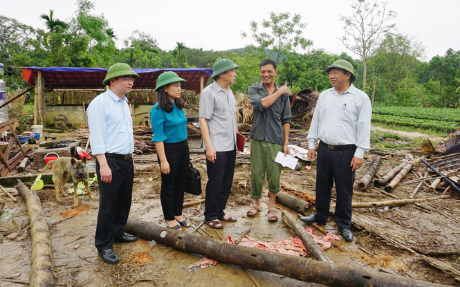 Kiểm tra công tác khắc phục hậu quả thiên tai 