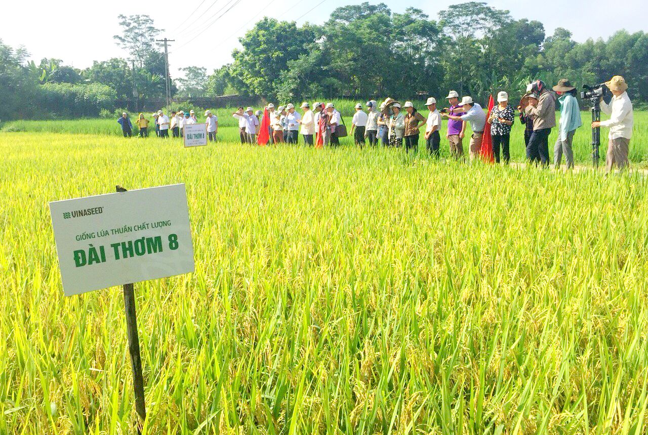 Tạo đà vững chắc để vươn tới, Bài 2: Nông thôn ngày càng khởi sắc 