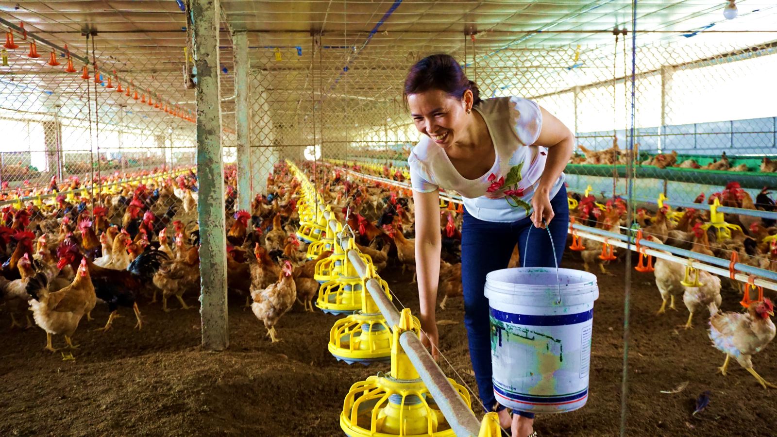 Góp phần thay đổi diện mạo nông thôn 