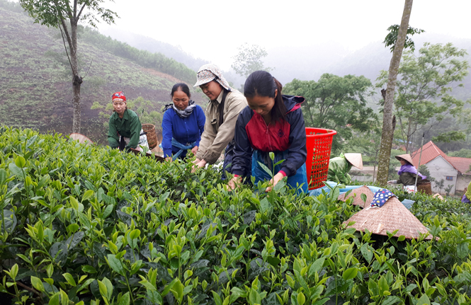 Điểm sáng Hòa Khê 1 