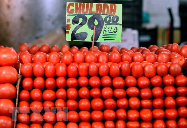 Áp thuế cao đối với cà chua, Mỹ gây căng thẳng thương mại với Mexico